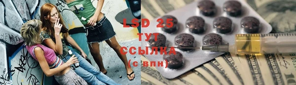 прущий лед Алзамай